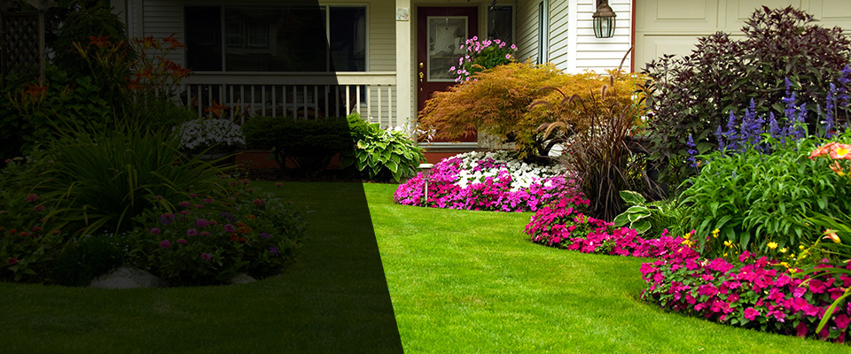 Tarentum Landscapers