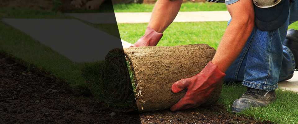 Tarentum Landscapers